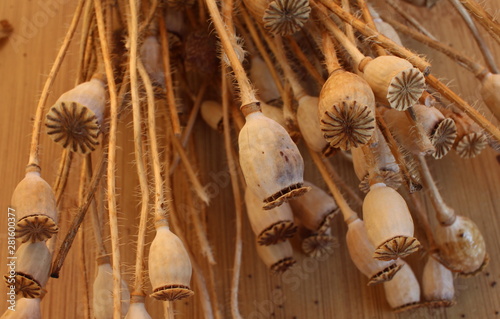 Dry poppy branches with bolls of seeds on a wooden background.