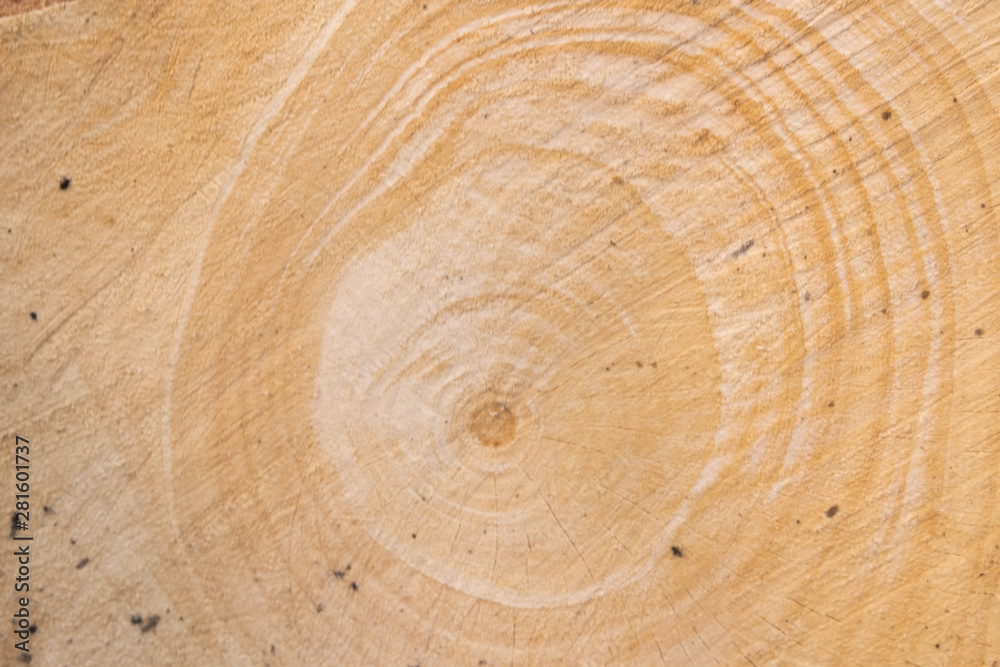 upper view of wood pattern background upper view of wood pattern background