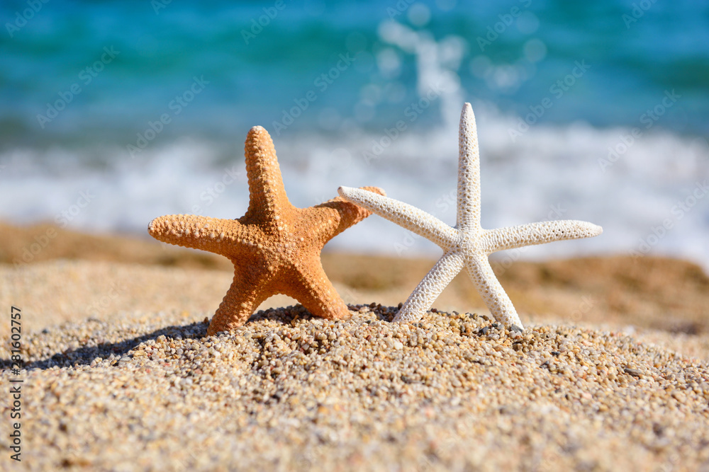 Beautiful sea stars on the beach against the background of the sea and waves on a hot sunny day Beautiful sea stars on the beach against the background of the sea and waves on a hot sunny day
