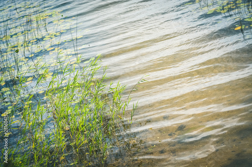 Shore of the lake overlooking the water and reeds. The National Park in Razna, Latvia photo