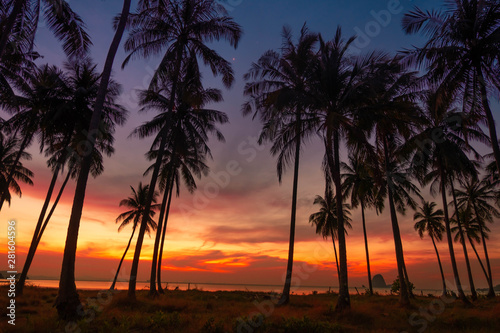 good vibe of coast there is coconut trees near seashore in dawn of a quiet,Koh Yao Yai, Phang Nga, Thailand