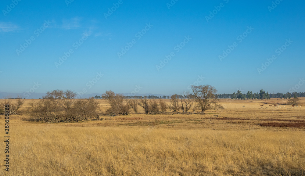 Farmland in landscape format in South Africa image with copy space