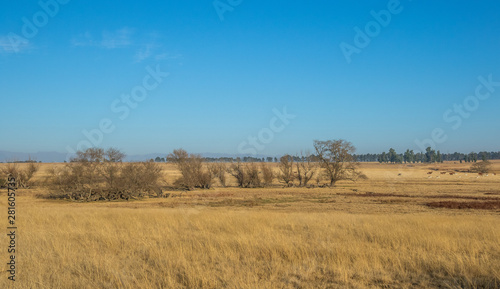 Farmland in landscape format in South Africa image with copy space