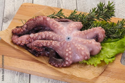 Raw octopus ready for cooking