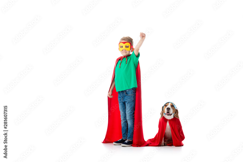 full length view of preschooler child with fist up and beagle dog in masks and red hero cloacks isolated on white