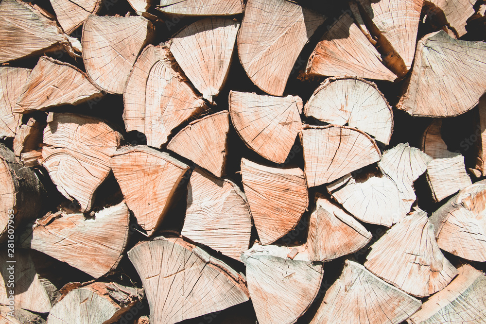 Background with firewood. Nature background. Background for your design.