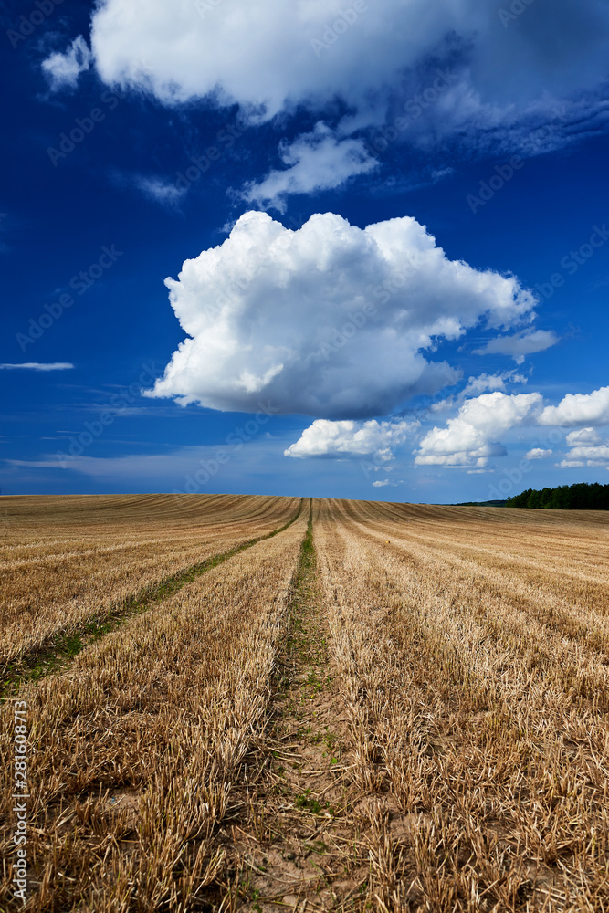 stubbelfield after harvest on sunny day