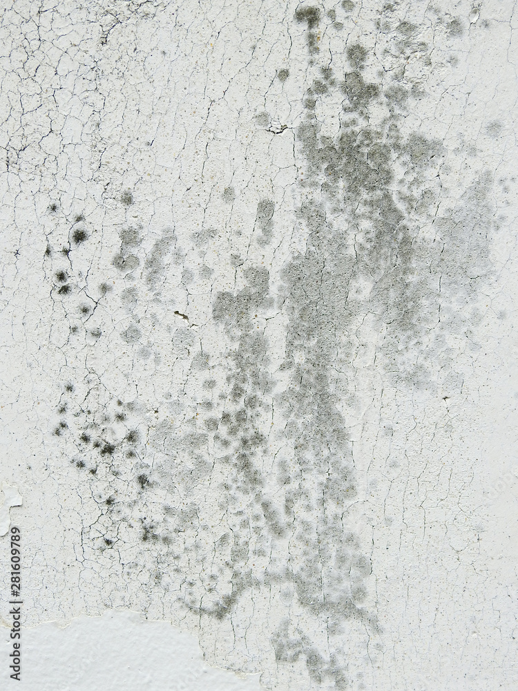 mold wall texture