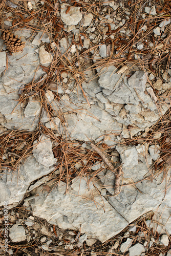 texture of the mountain. stone close up.