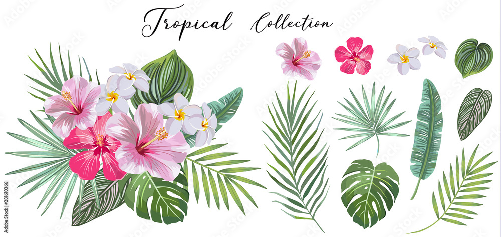 hand drawn Set of tropical leaves and flowers. vector design concept ...