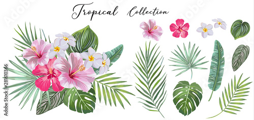 hand drawn Set of tropical leaves and flowers. vector design concept