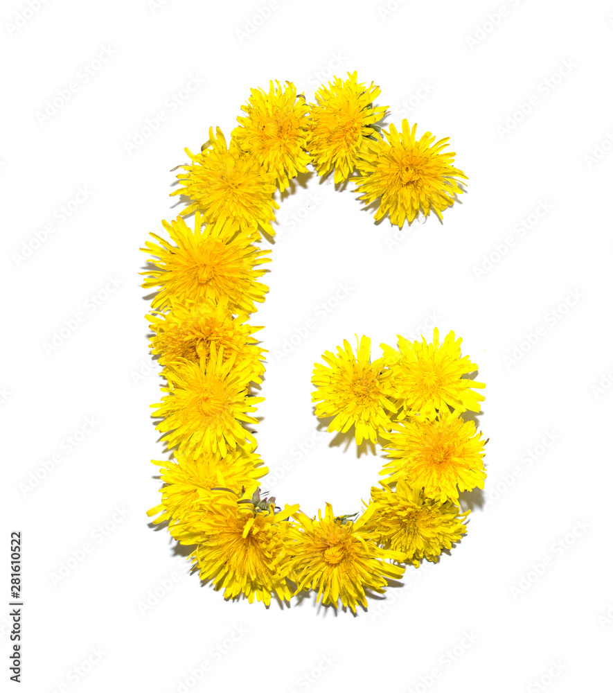 Dandelion Alphabet Dandelion Alphabet