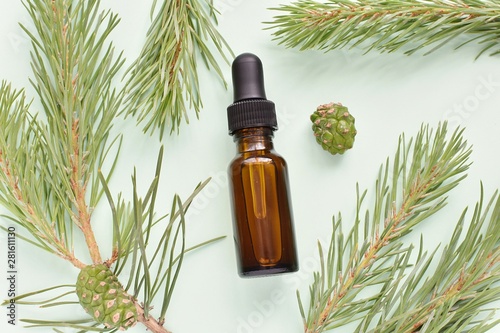 Pine essential oil in brown bottles and fresh pine twigs on green background