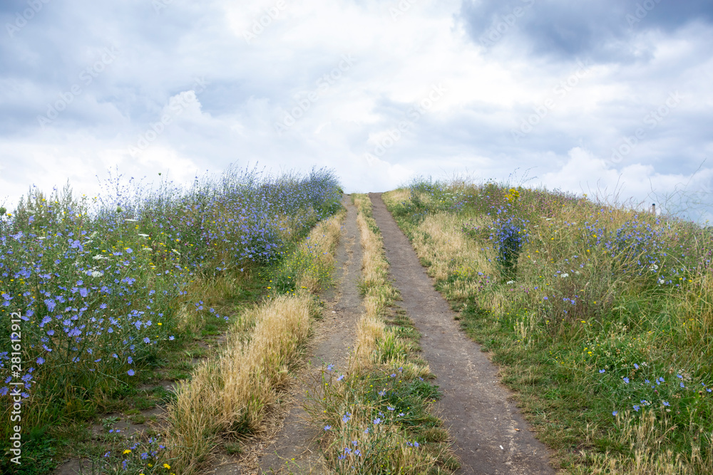 Fototapeta premium peak of a hill as a synonym for achieving a goal