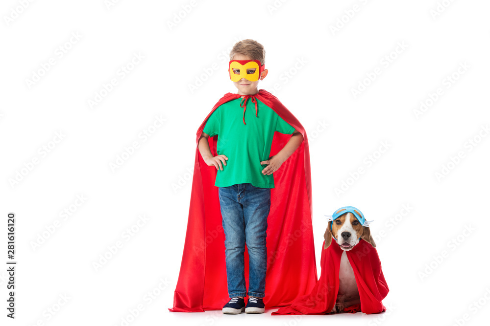 full length view of smiling preschooler child with hands on hips and beagle dog in masks and red hero cloacks isolated on white