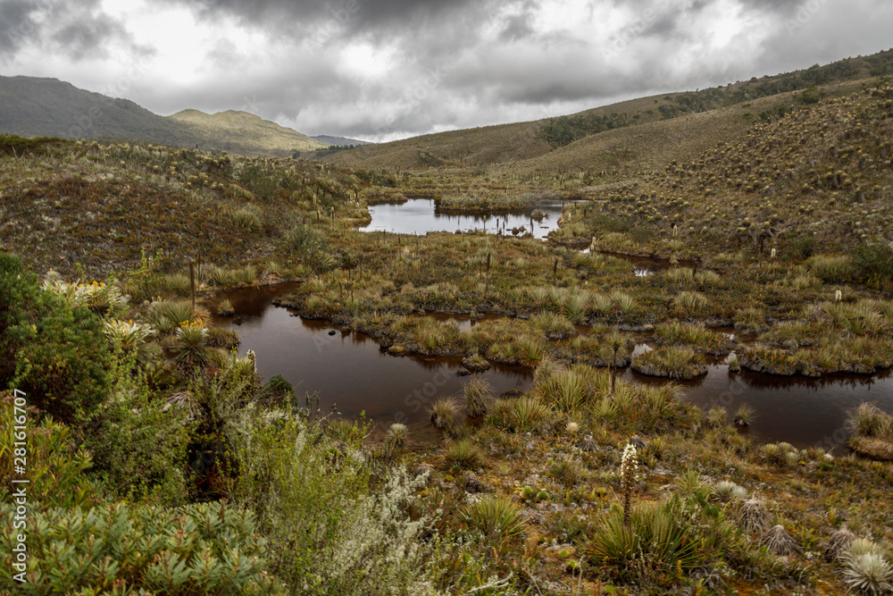 lagunas del paramo