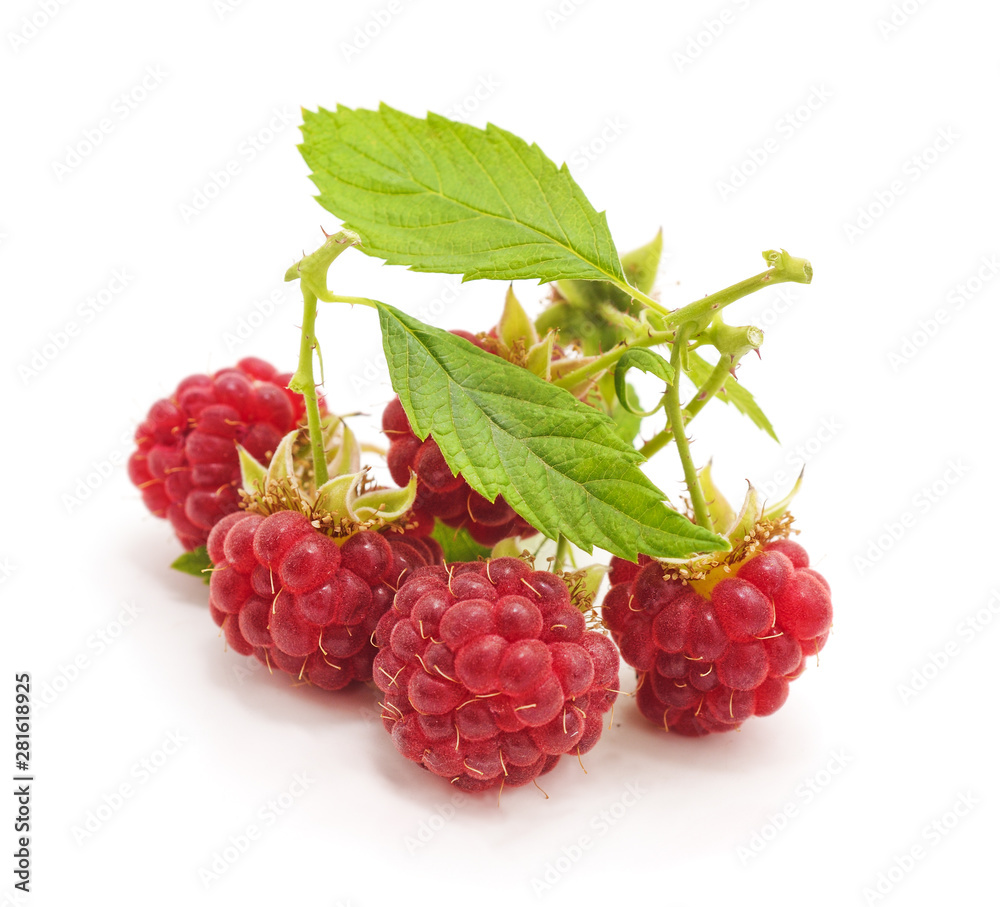 Red berries raspberries. Red berries raspberries.