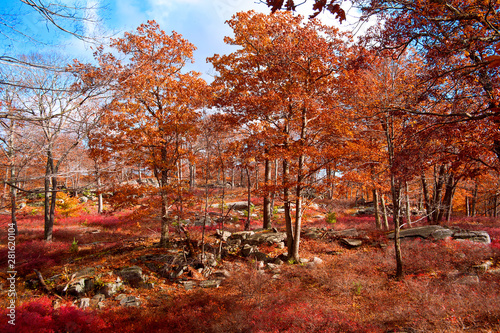 Harriman State Park New York