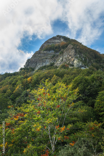 Peak under clouds, forest