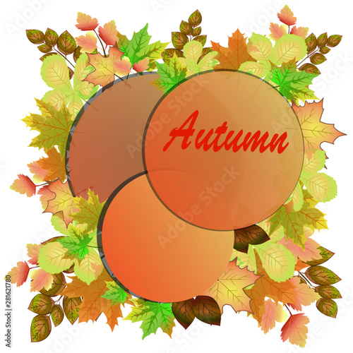 banner leaves autumn poster colored season four year background