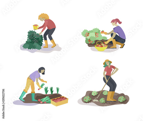 Harvesting and gardening people doing farming and garden job, pick berries, remove weeds, watering, planting, growing and transplant sprouts, lay ripe vegetables to box. Reaping crop