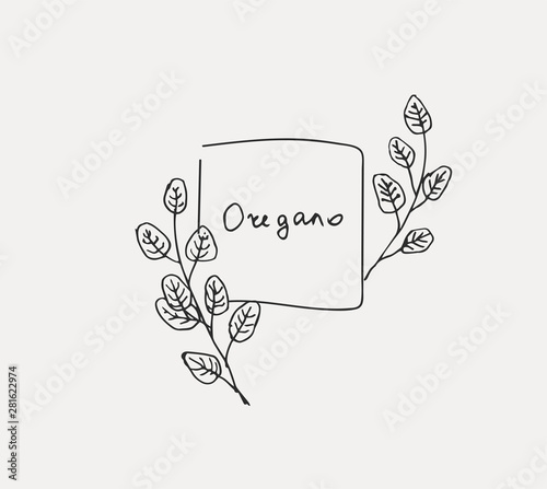 Hand drawn set of culinary herb. Basil and mint, rosemary and sage, thyme and parsley. Food design logo elements