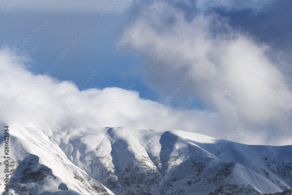 View on off-piste slope with forest View on off-piste slope with forest