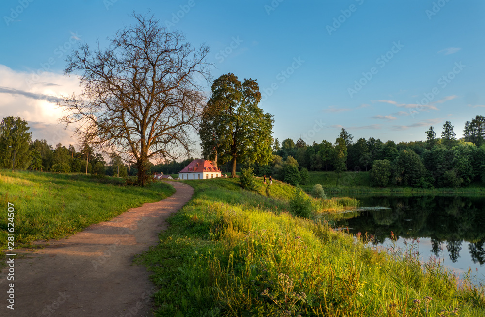 Summer evening landscape with a castle in the Park