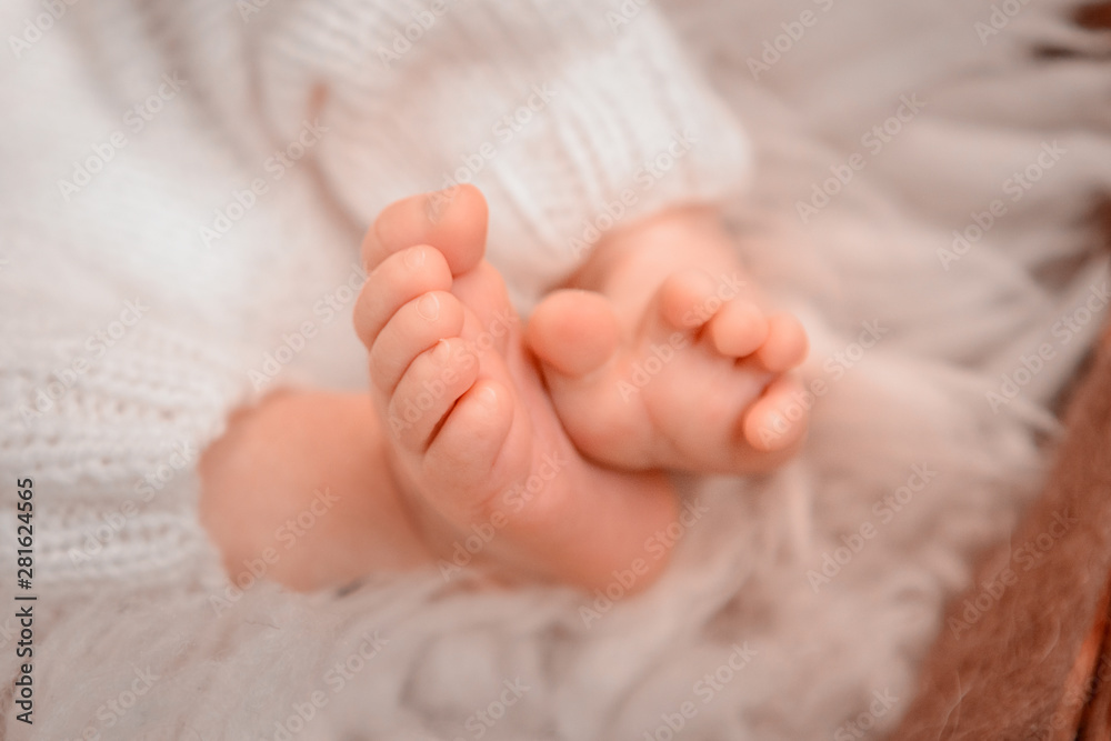 Photo of newborn baby feet, soft focus. Photo of newborn baby feet, soft focus.