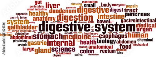 Digestive system word cloud