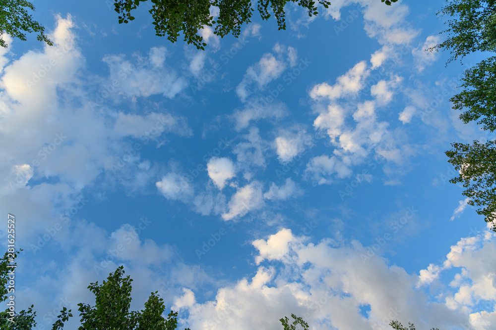 Obraz premium blue sky and white fluffy clouds and trees