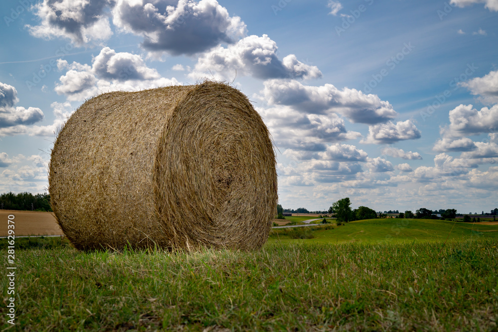 Freshly harvested circular hay bale in a field Freshly harvested circular hay bale in a field