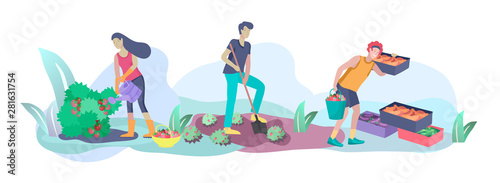 Harvesting and gardening people doing farming and garden job, pick berries, remove weeds, watering, planting, growing and transplant sprouts, lay ripe vegetables to box. Reaping crop concept