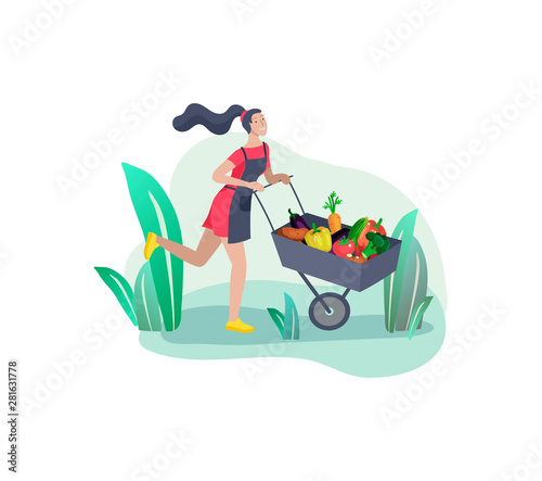 Harvesting and gardening people, woman doing farming and garden job, planting, lay ripe vegetables to box. Reaping crop concept