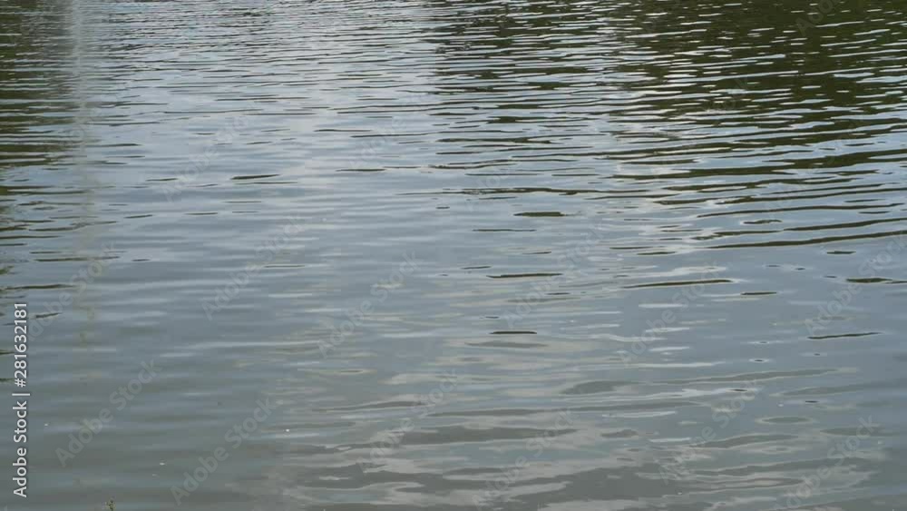 slow motion, ripple surface water in nature morning day slow motion, ripple surface water in nature morning day