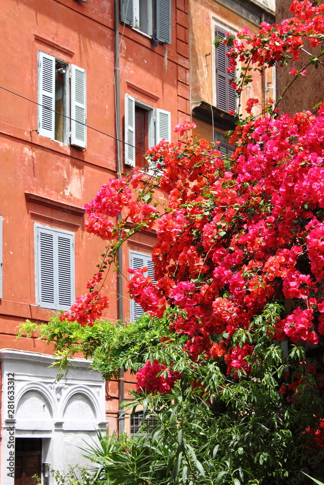 Urban scenic of Trastevere in Rome, Italy