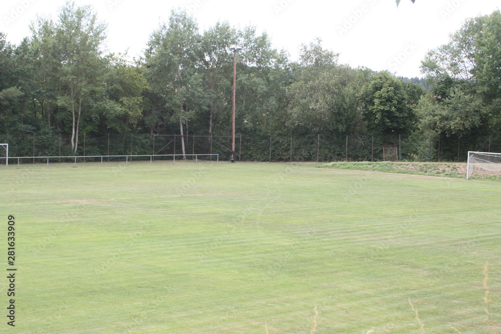 Obraz premium Fußballplatz, Fußballtor