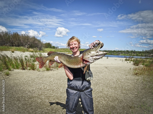 The happy fisherwoman holds in her hands a huge pike of 10 kg. Trophy catch. Good fishing.