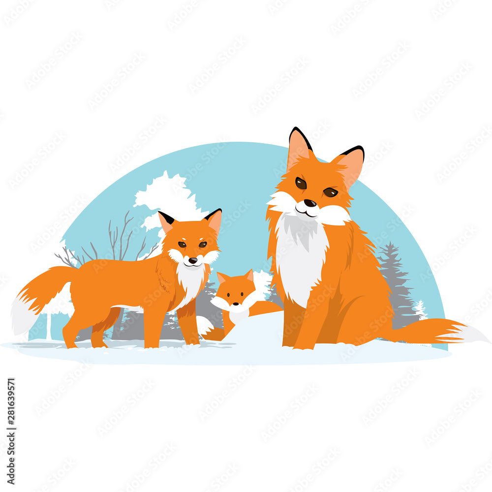 cute foxes family vector illustration