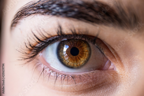 Healthy and colorful close up of young healthy human eye (macro photography) black iris and brown / green colors. 