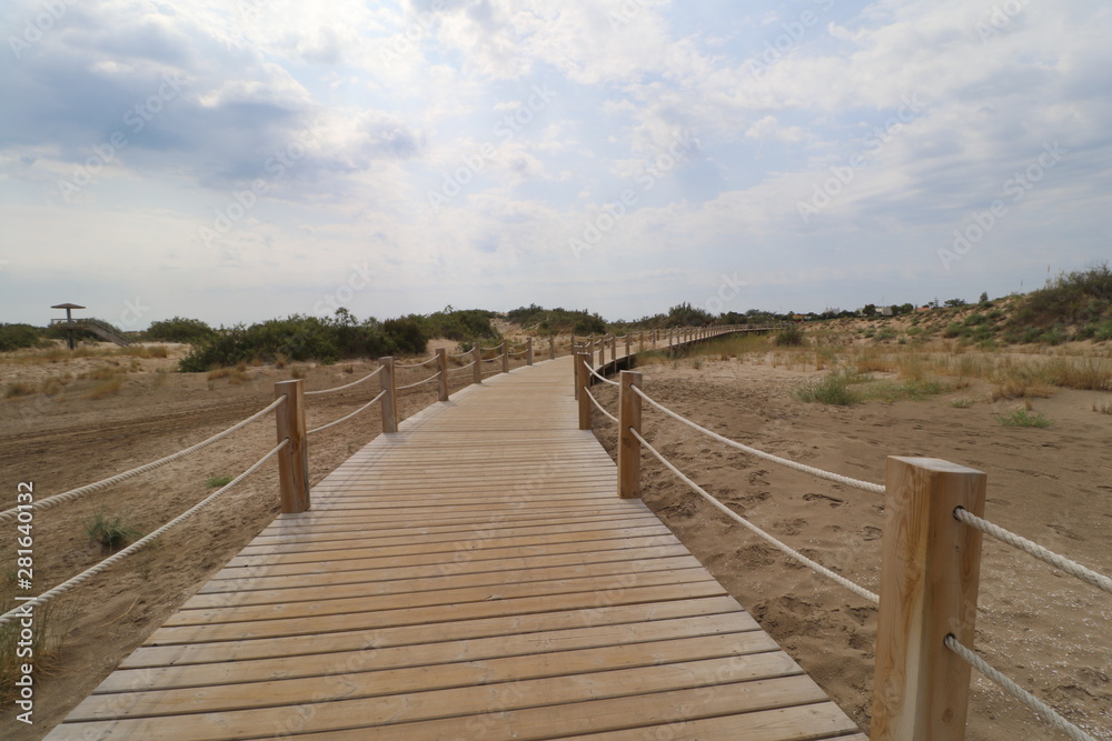 Dunas en las playas de Riumar, en el Delto del Ebro Dunas en las playas de Riumar, en el Delto del Ebro