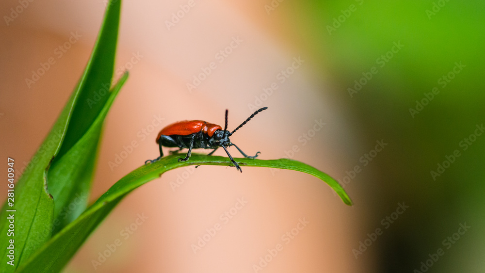 Naklejka premium Nemesis