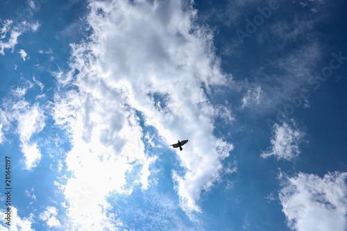 Blue Sky and A Pigeon with a broken wing.
