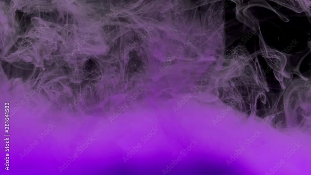Colorful violet ink mixing in water, swirling softly underwater on black background with copy space. Colored acrylic cloud of paint isolated. Abstract smoke explosion animation.