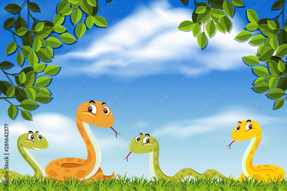 Obraz premium Snakes in nature scene