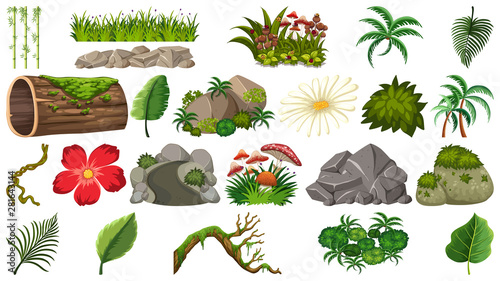 Set of rocks and leaves