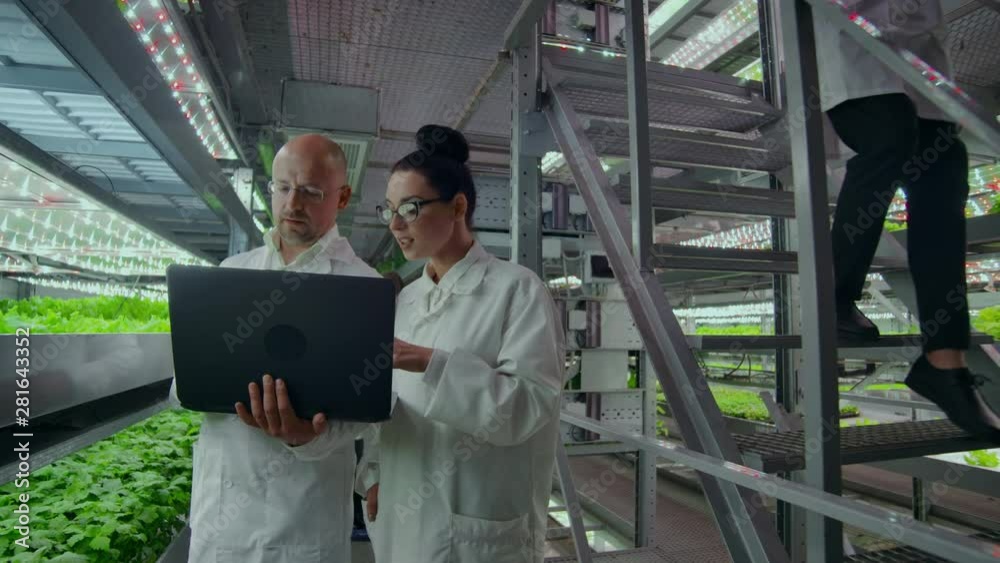 Scientists in white coats with a laptop go along the corridor of the farm with hydroponics and discuss the results of gene studies on plants. Look at the samples. Scientists in white coats with a laptop go along the corridor of the farm with hydroponics and discuss the results of gene studies on plants. Look at the samples.