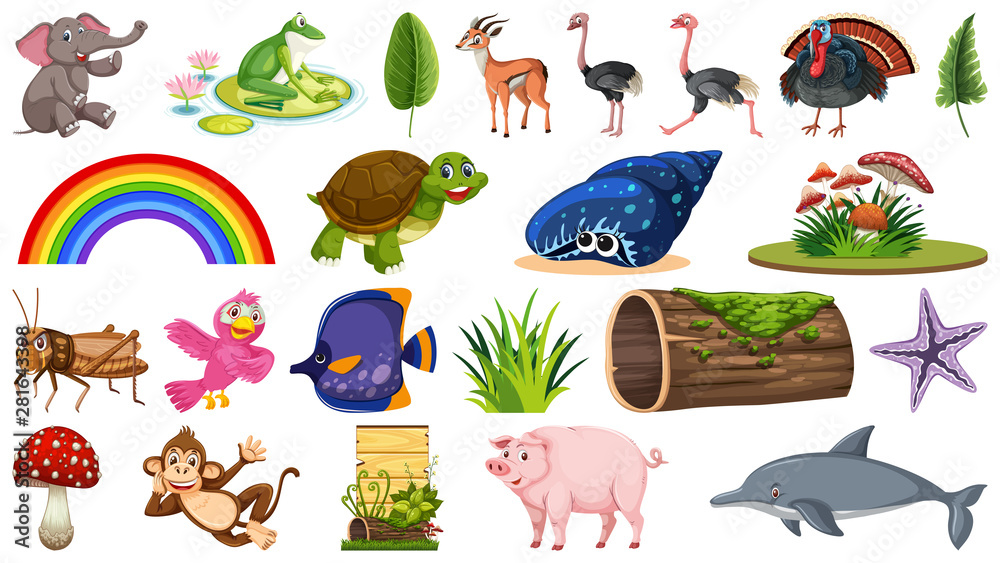 Set of different animals and plants