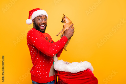 Profile side portrait of his he nice attractive cheerful cheery guy holding in hands toy terrier new best friend enjoying Decembar winter time isolated over bright vivid shine yellow background photo
