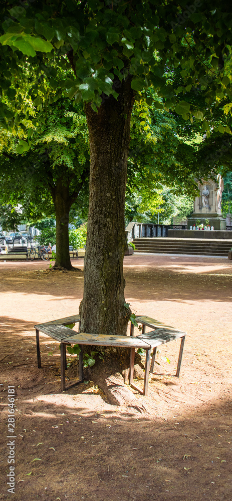Garden benches in a wooded park great for rest, around the world (collection of benches) Garden benches in a wooded park great for rest, around the world (collection of benches)